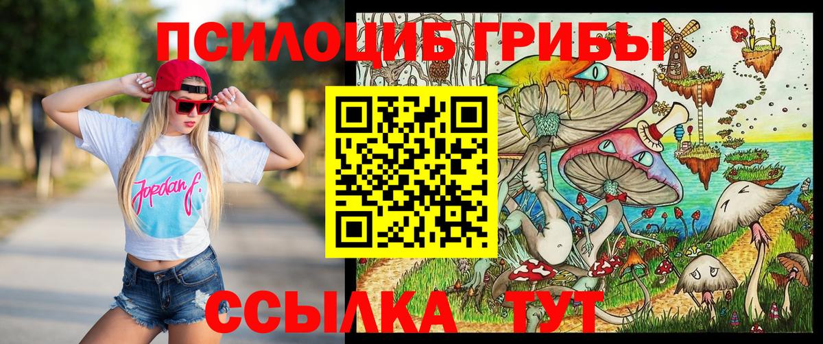 Галлюциногенные грибы Psilocybine cubensis  Вход с VPN  купить   Свободный 